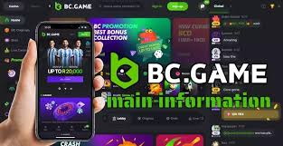 Discover the Exciting World of BC.Game Online Platform 640476582