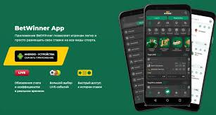 Download BetWinner APK File for Seamless Betting Experience