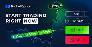 Exploring the Exciting Bonus Offers Pocket Option 31